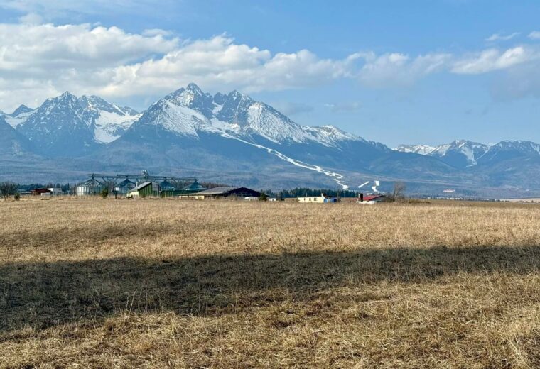 Stavebné pozemky v obci Mlynica s výhľadom na Vysoké Tatry