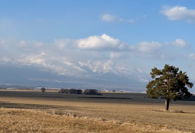 Pozemok o výmere 7052 m2 v Poprade na predaj